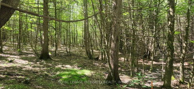 326 Wardens Road • Clayton, ON photo 6