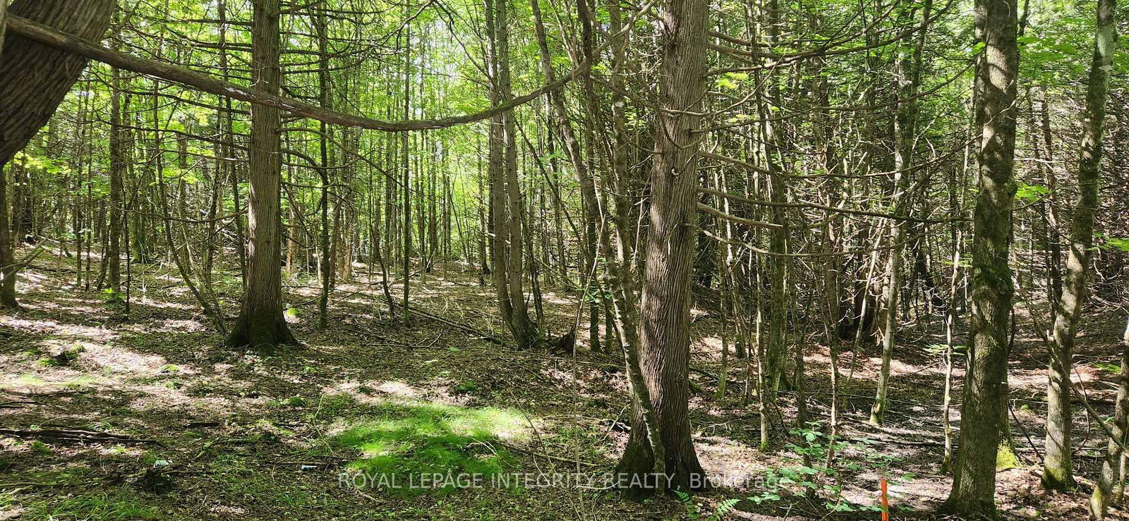 326 Wardens Road • Clayton, ON photo 8