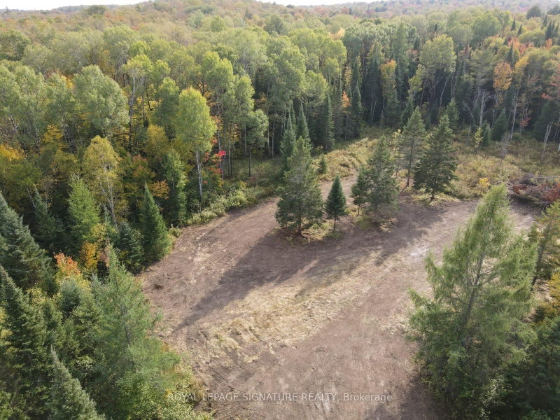 938 Bartlett Lake Road