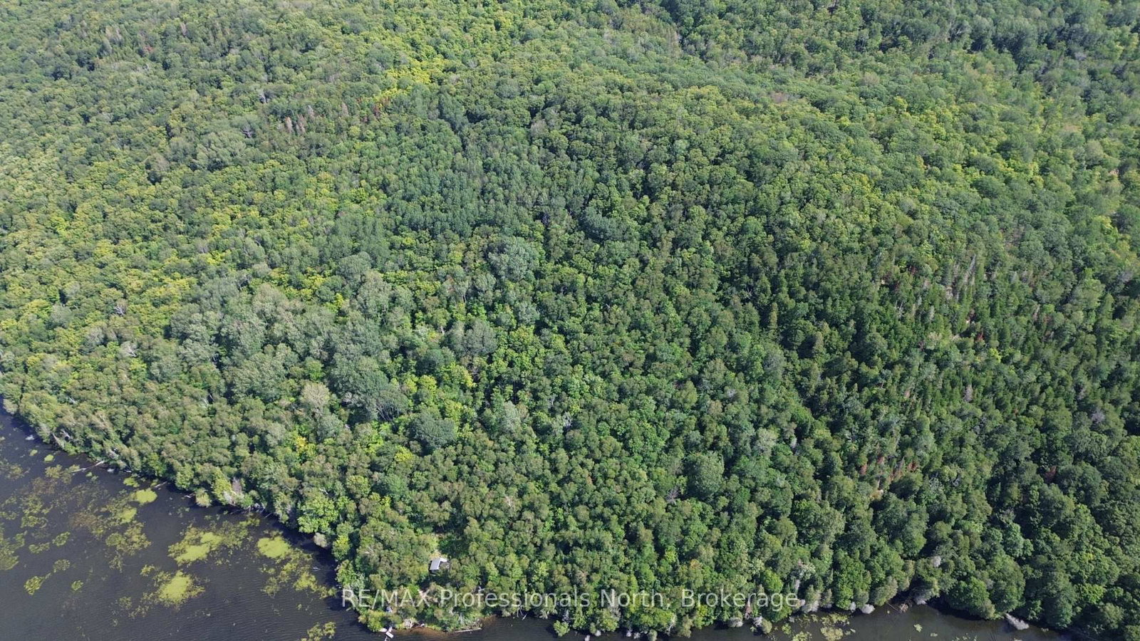 PT LT 12-13 Con Baptiste Lake WAO • Bancroft, ON photo 39
