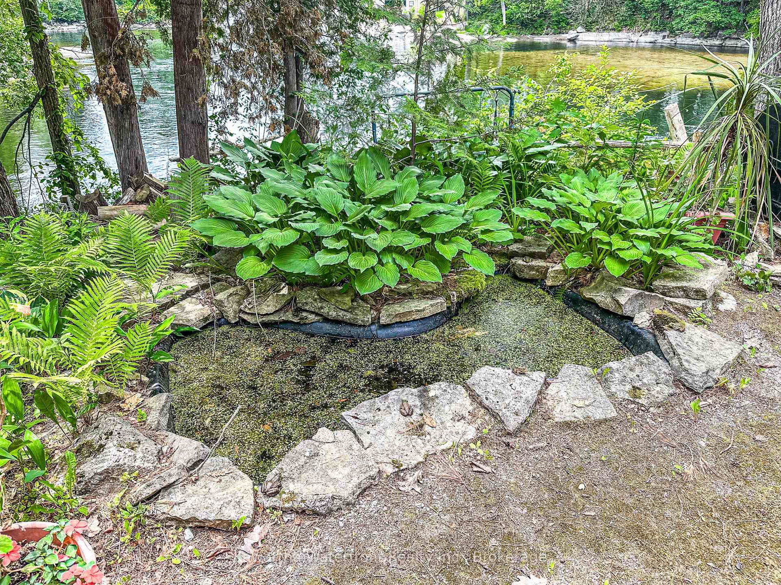 25 Government Dock Road • Kawartha Lakes, ON photo 25