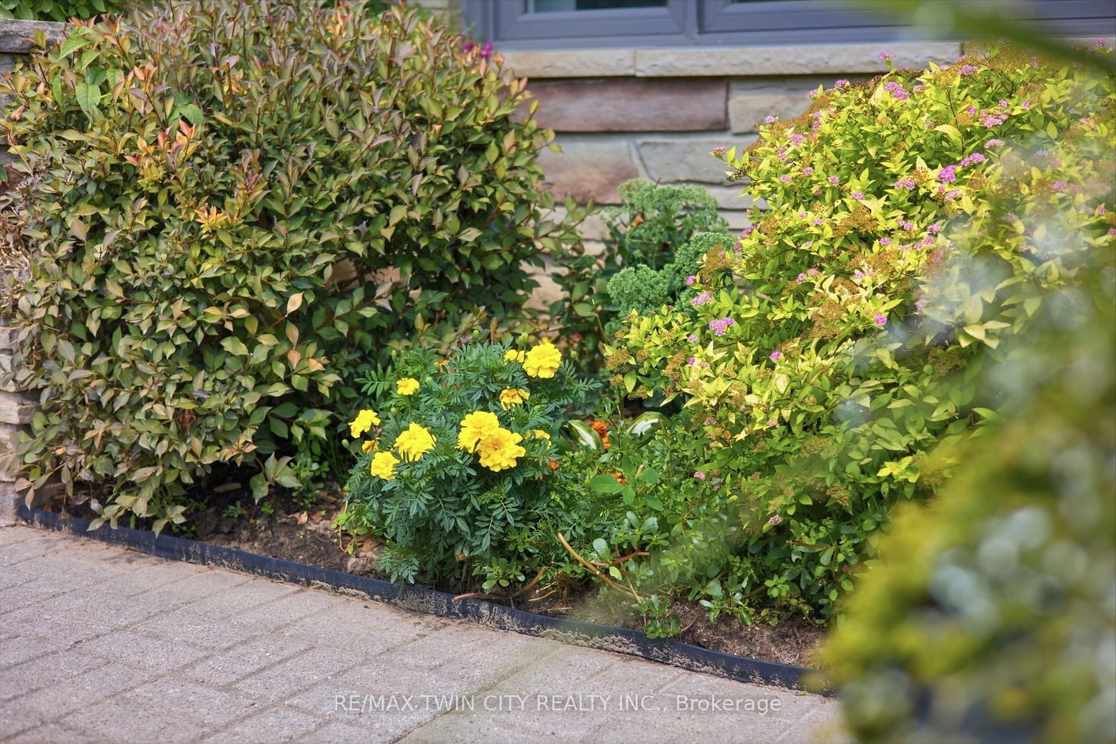 28 Alice Crescent • Wilmot, ON photo 31