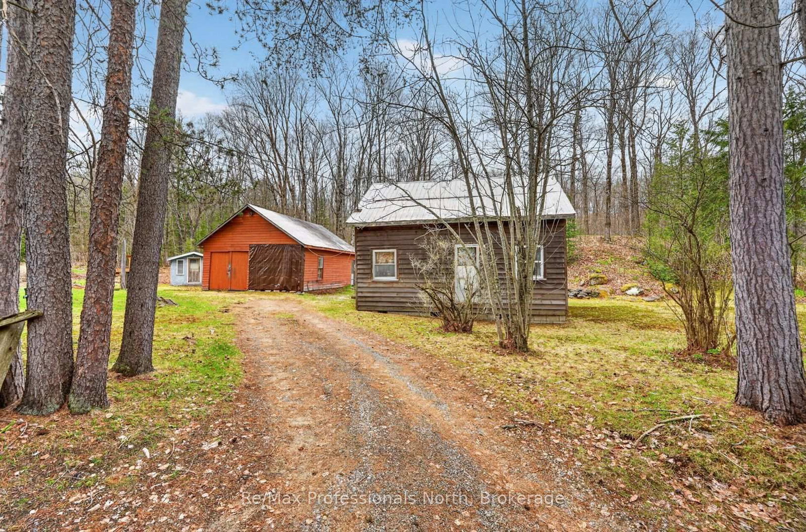3640 Muskoka Rd 117 Road E • Lake of Bays, ON photo 8