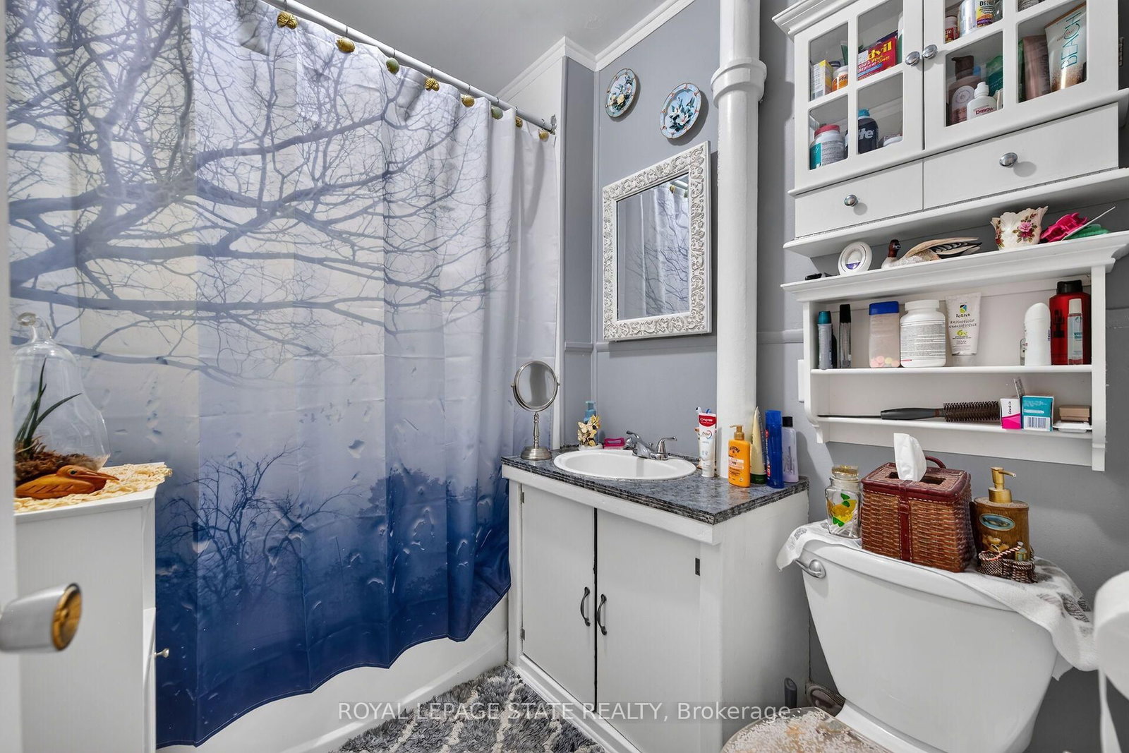 268 Grey Street • Brantford, ON photo 11
