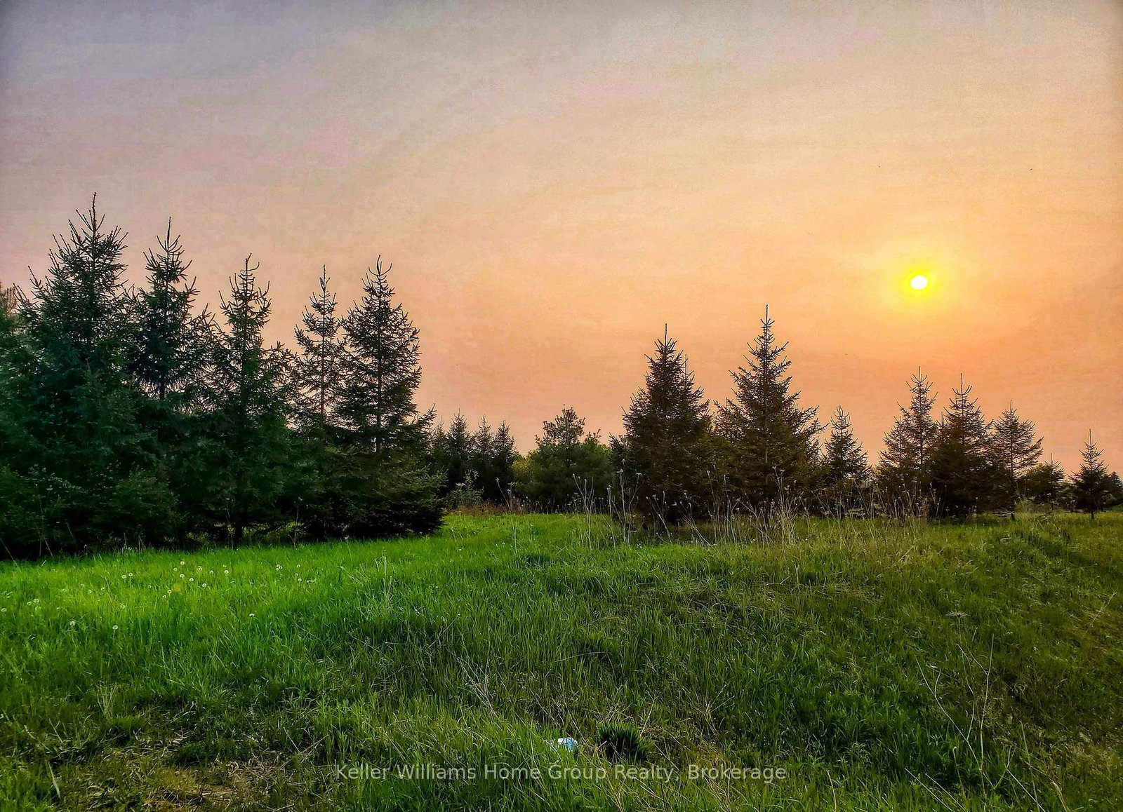 8692 Highway 6 Highway • Wellington North, ON photo 13