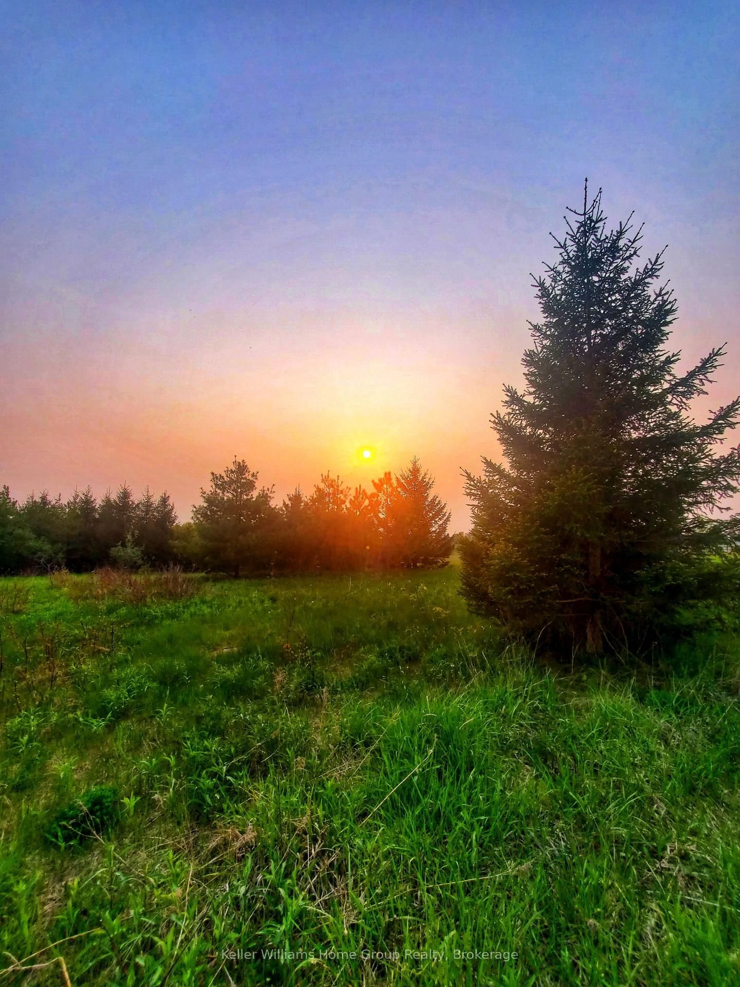 8692 Highway 6 Highway • Wellington North, ON photo 14