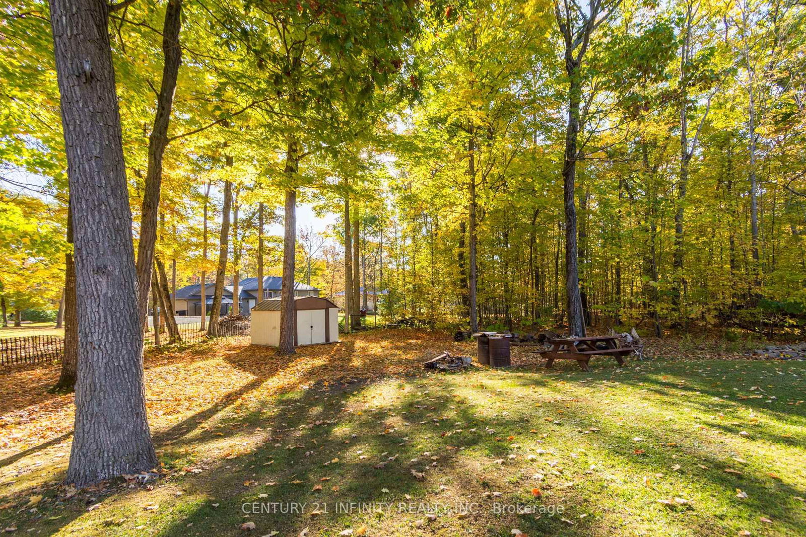 37 Riverside Drive • Trent Hills, ON photo 45