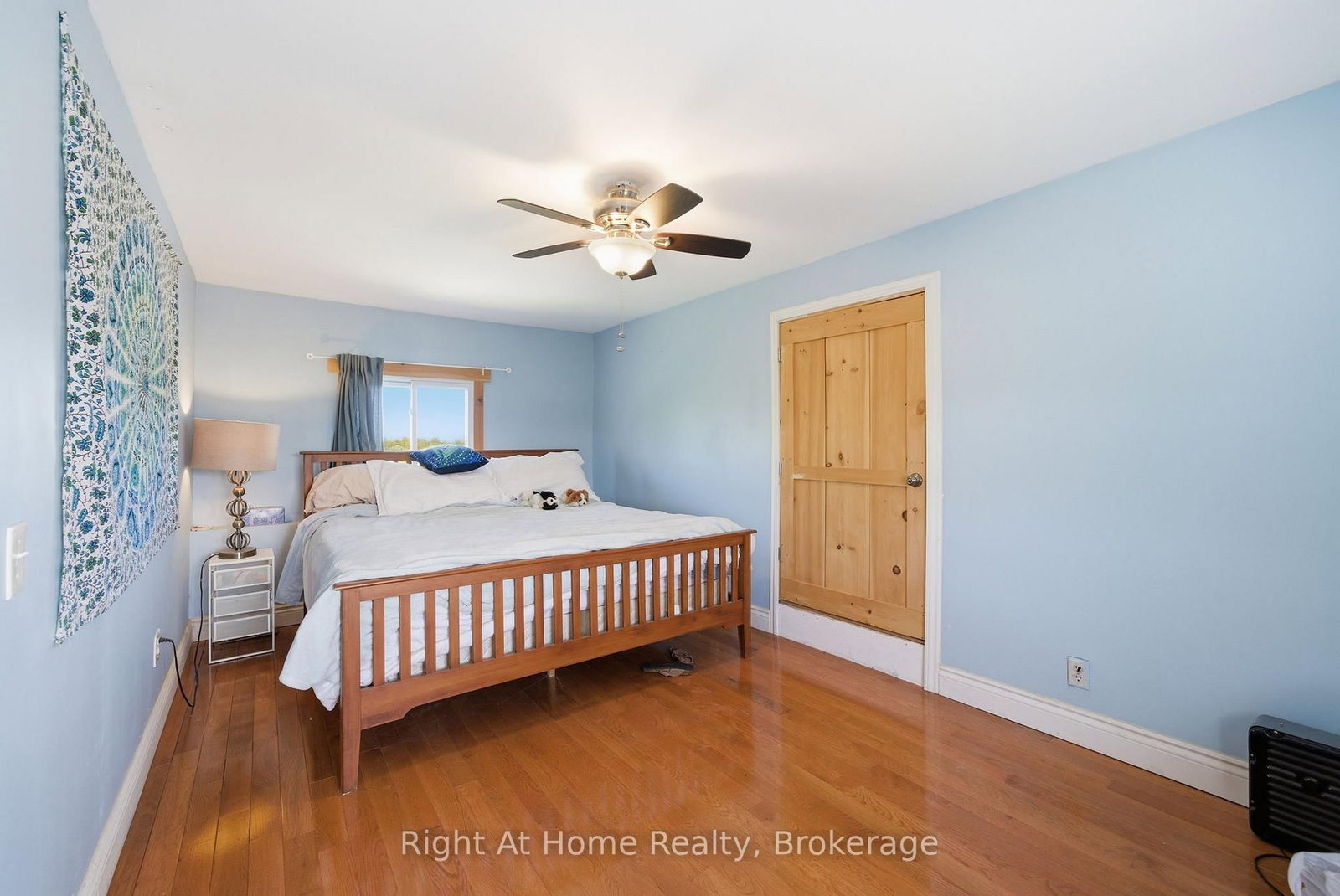660 County Rd 19 Road • Prince Edward County, ON photo 22