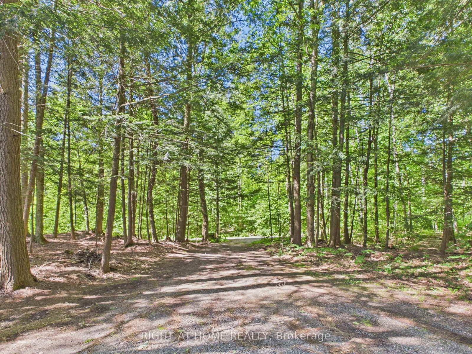 1527 Moon River Road • Muskoka Lakes, ON photo 33
