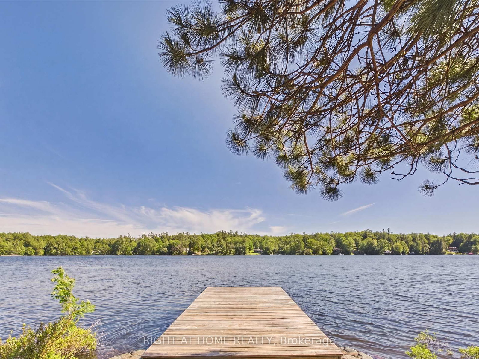 1527 Moon River Road • Muskoka Lakes, ON photo 4