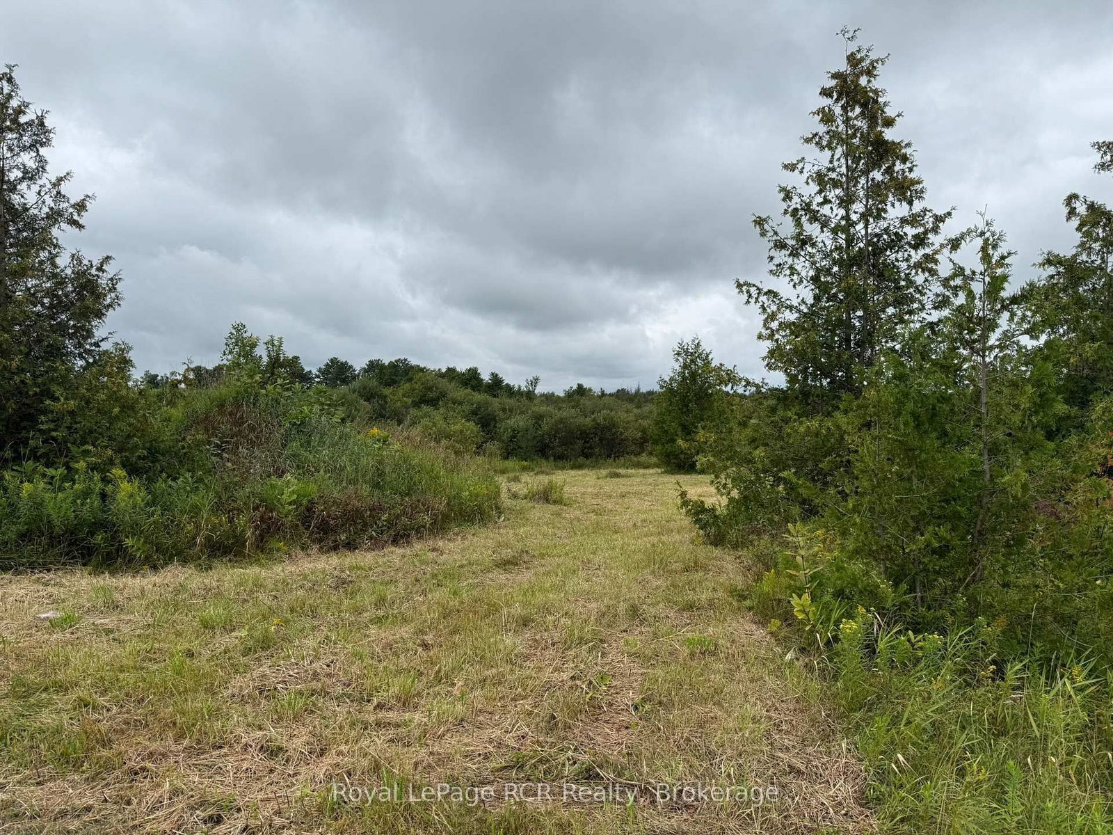 752630 Southgate Sideroad 75 • Southgate, ON photo 3