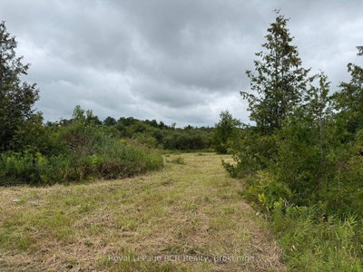 752630 Southgate Sideroad 75 • Southgate, ON photo 3