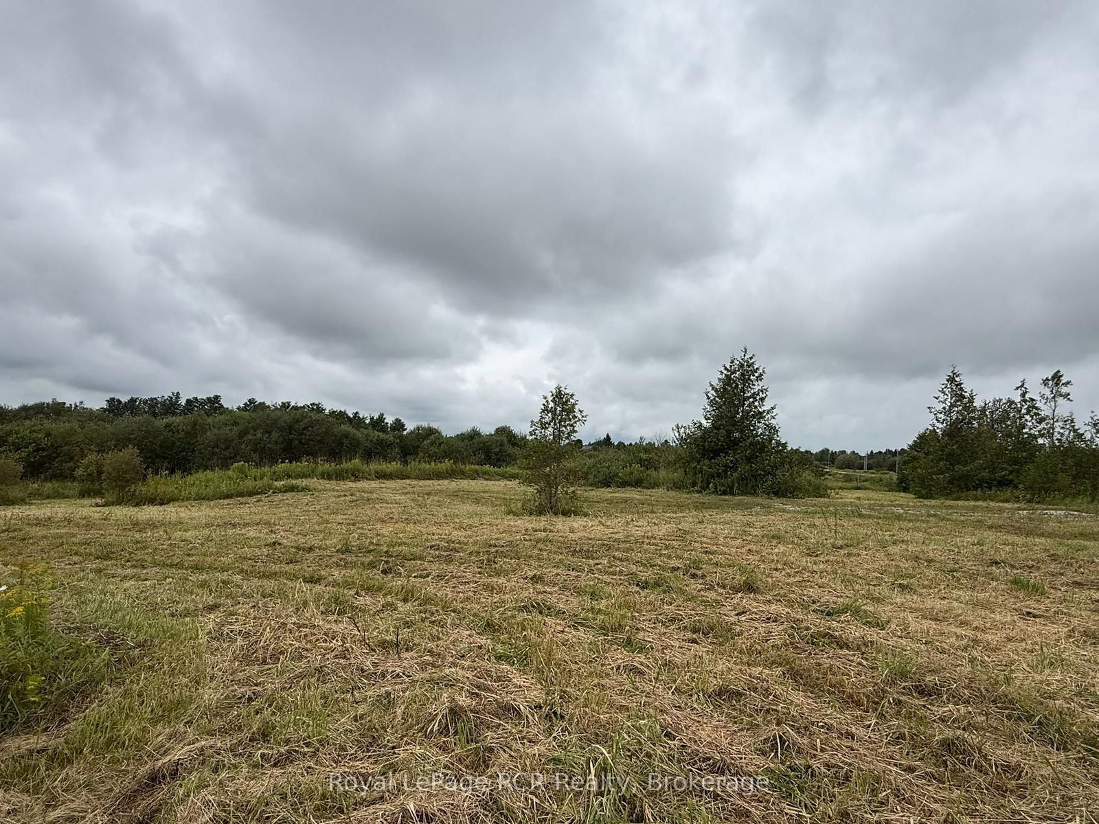 752630 Southgate Sideroad 75 • Southgate, ON photo 8