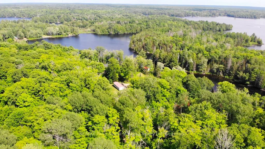 14 Moose Lane • Whitestone, ON photo 4