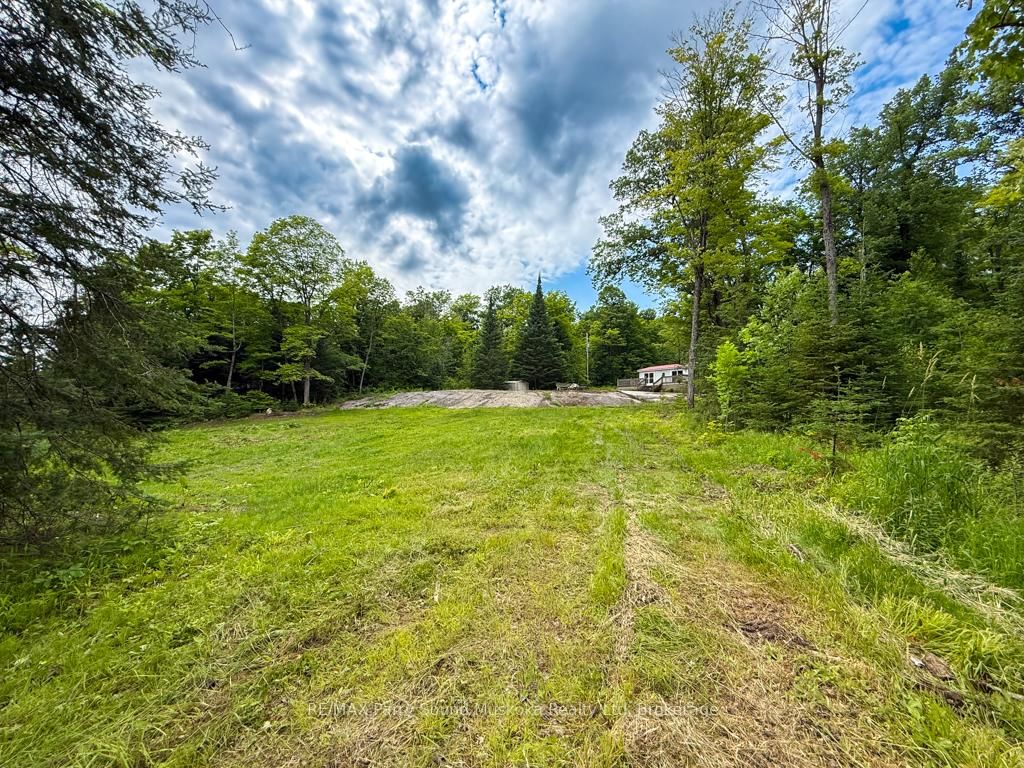 14 Moose Lane • Whitestone, ON photo 5