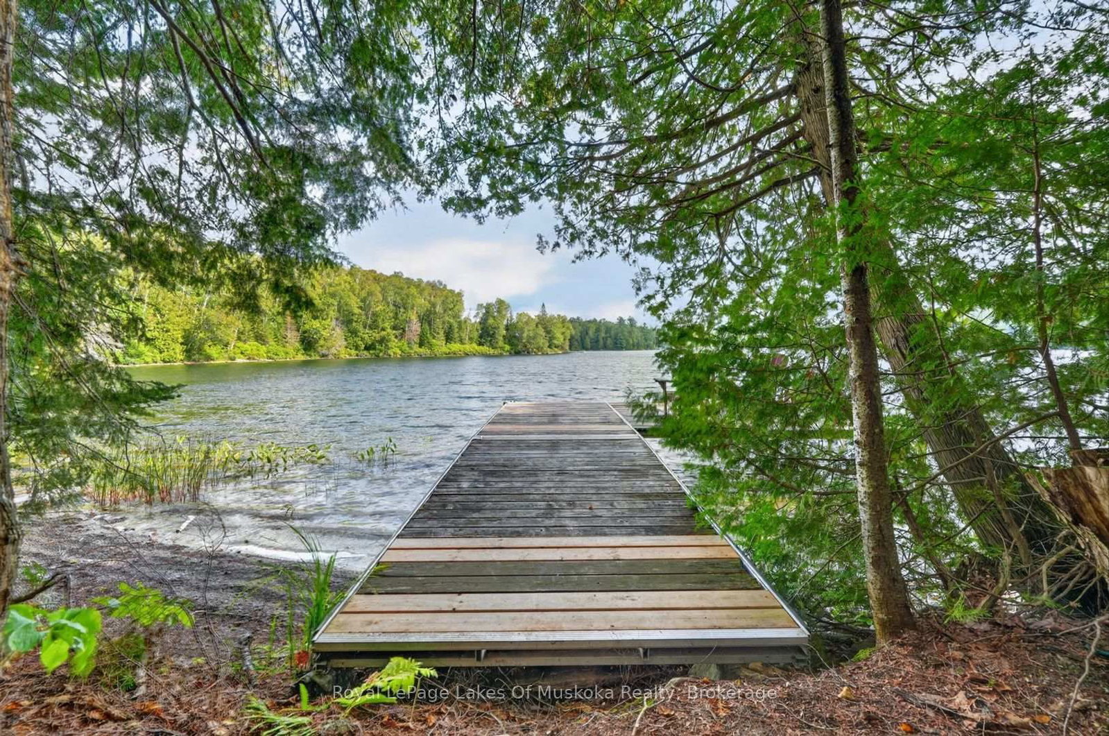 969 Echo Ridge Road • Kearney, ON photo 4