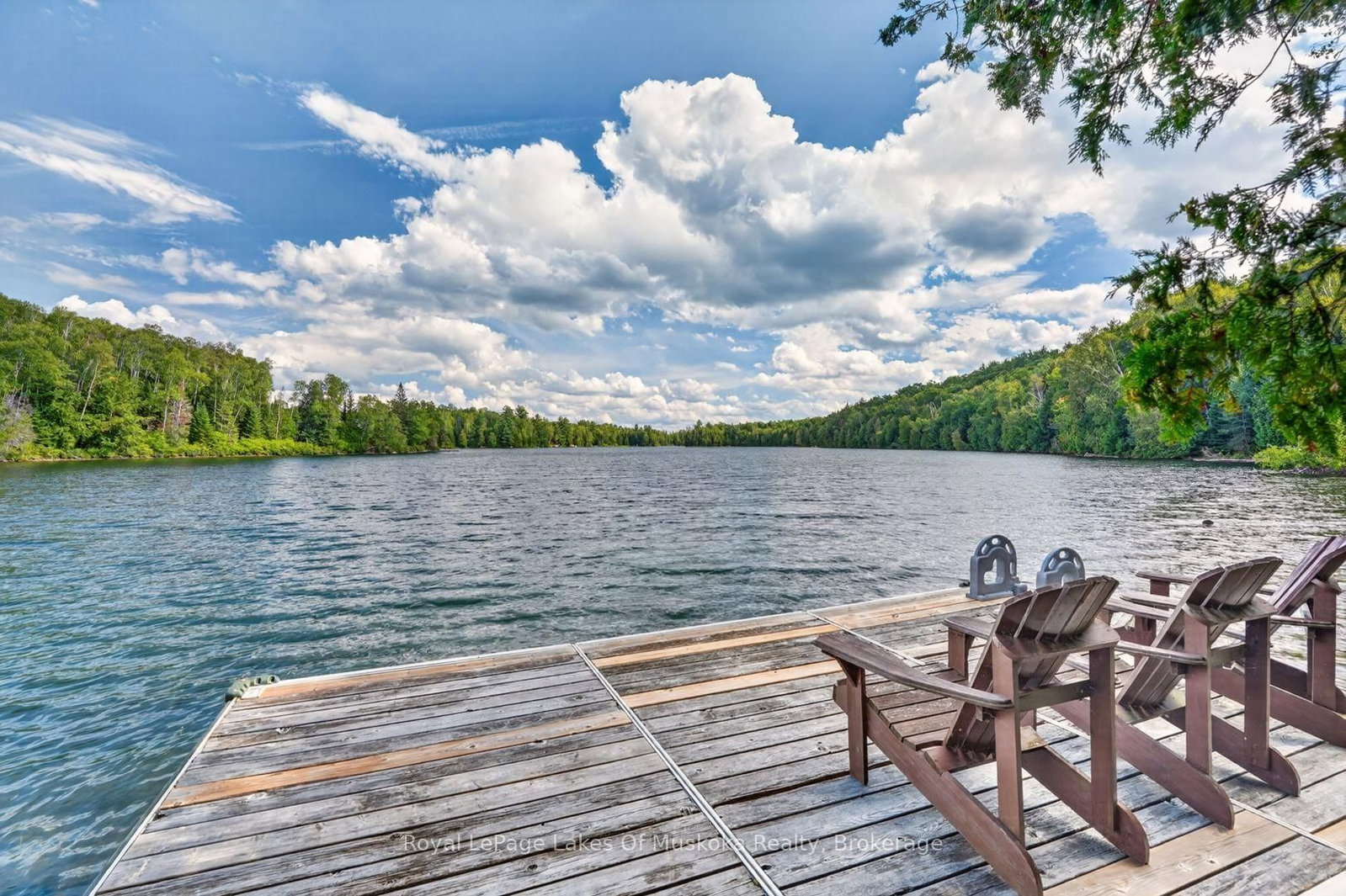 969 Echo Ridge Road • Kearney, ON photo 43
