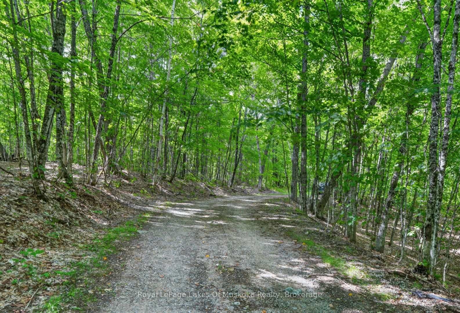969 Echo Ridge Road • Kearney, ON photo 44