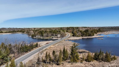 2619 Buckhorn Road • Selwyn, ON photo 6