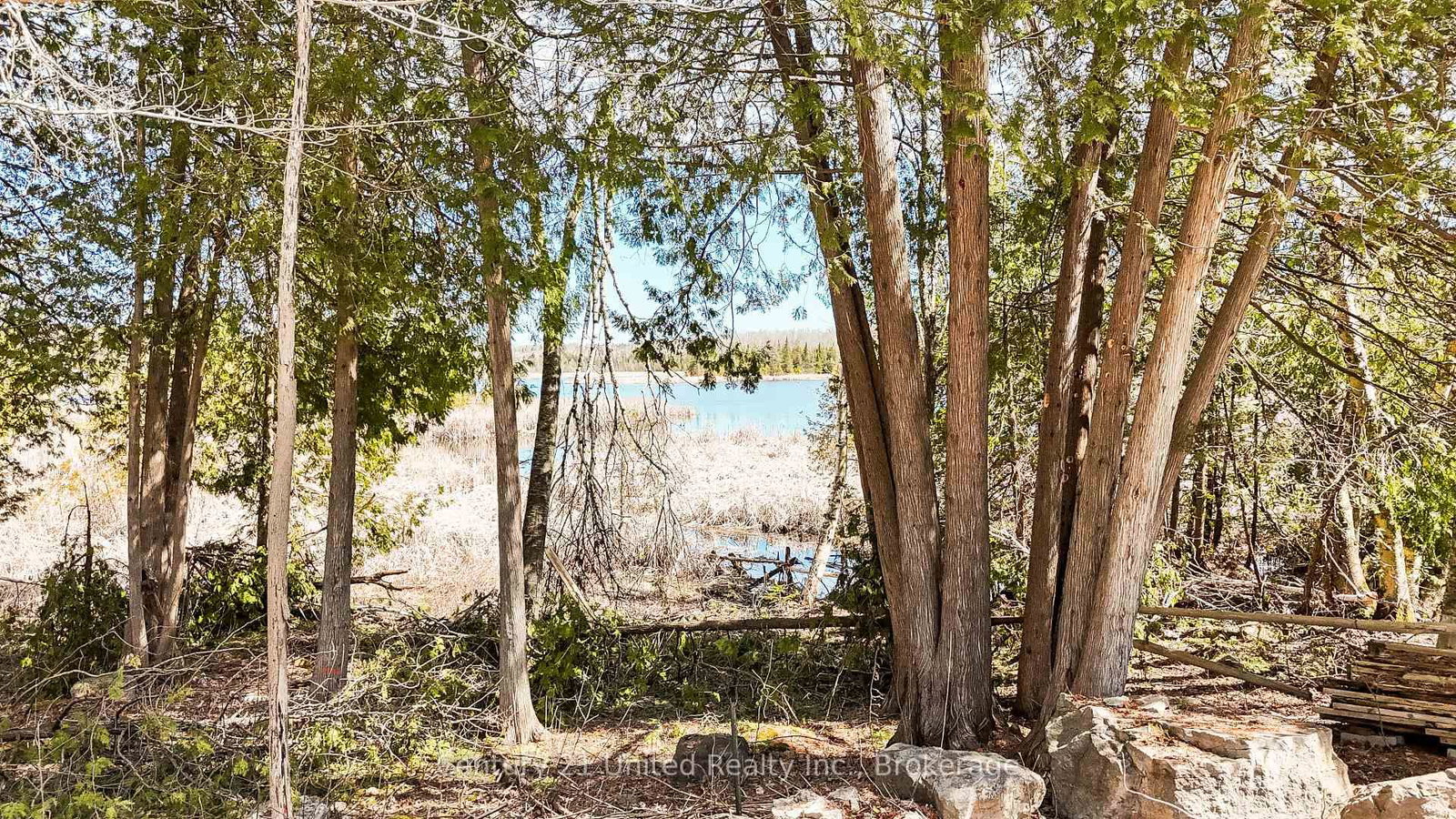 2619 Buckhorn Road • Selwyn, ON photo 9