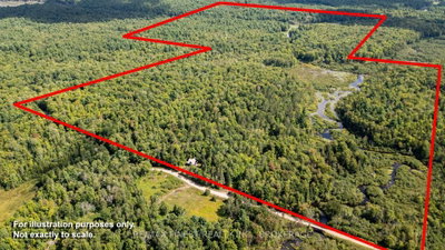 119 Kennebec Road • Addington Highlands, ON photo 3