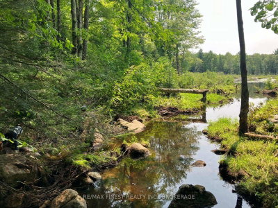 119 Kennebec Road • Addington Highlands, ON photo 8