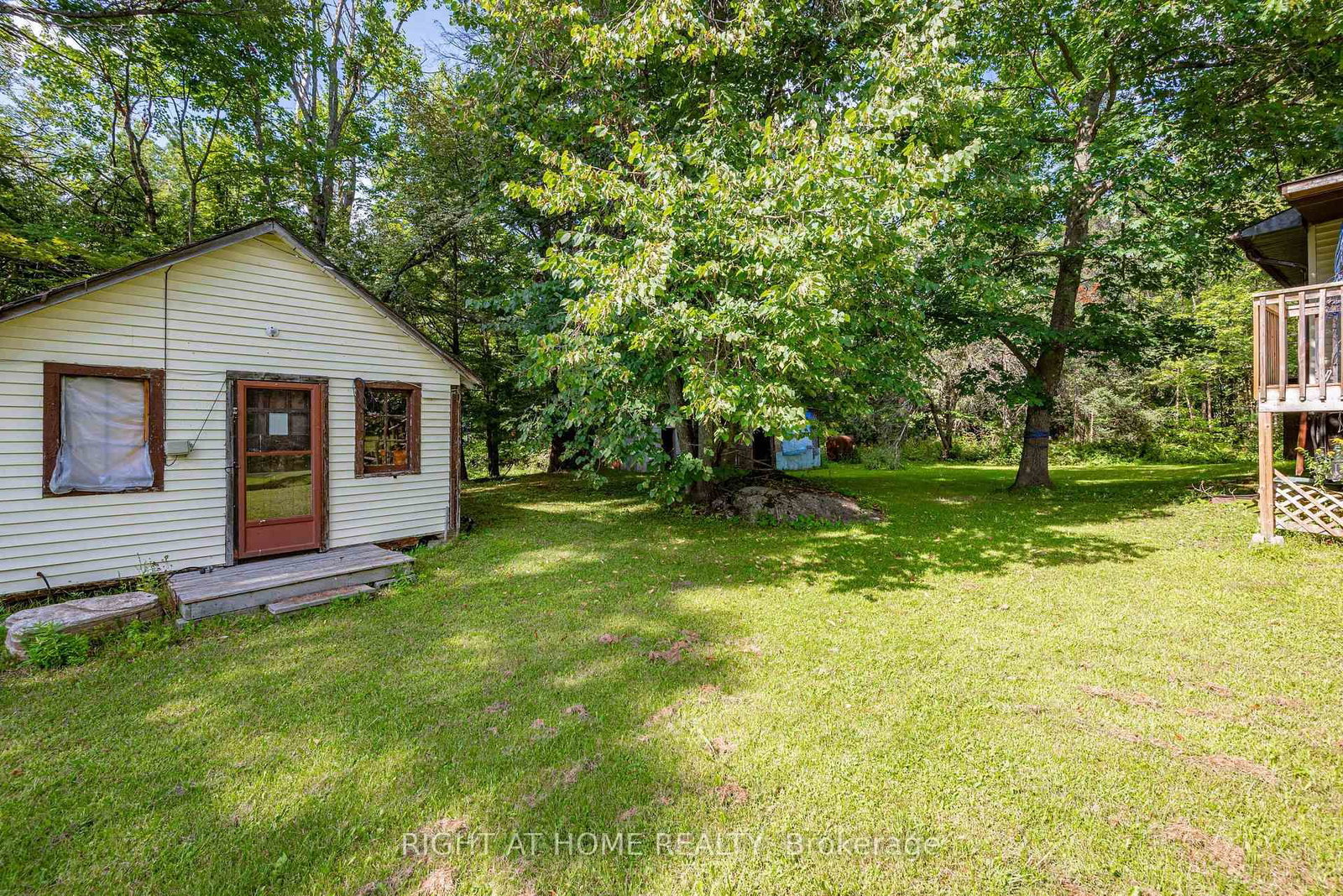 31 Morrison Street • Kawartha Lakes, ON photo 16