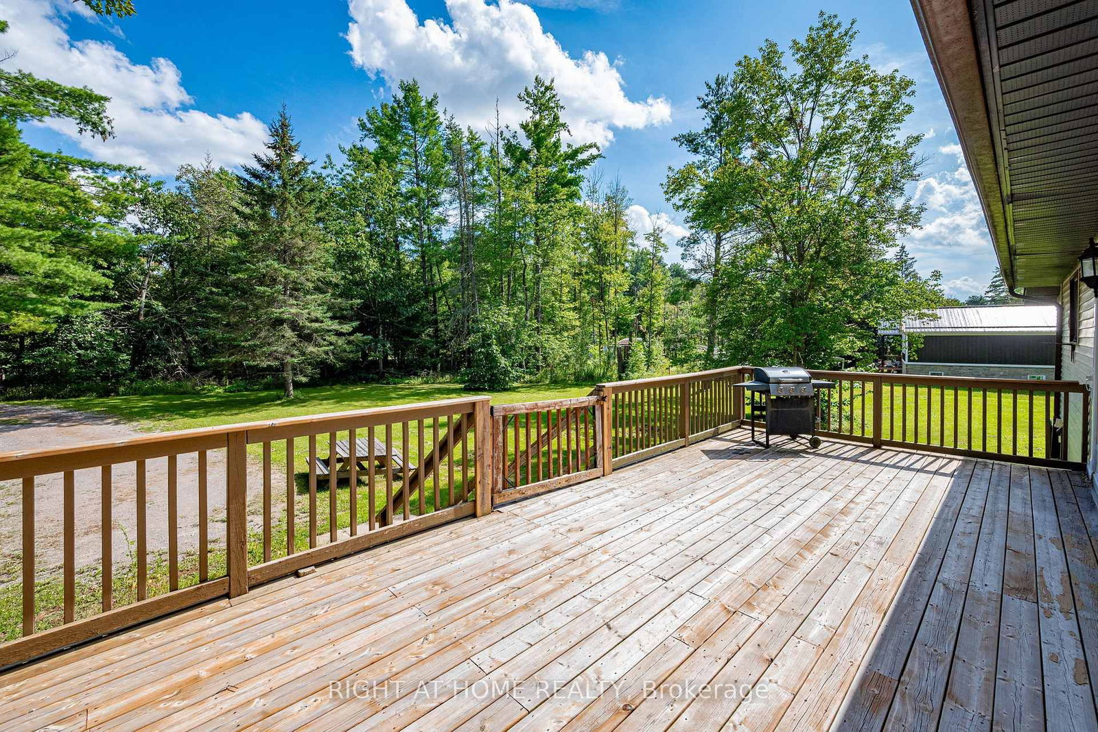 31 Morrison Street • Kawartha Lakes, ON photo 8