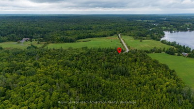 419 Balsam Road • McKellar, ON photo 6