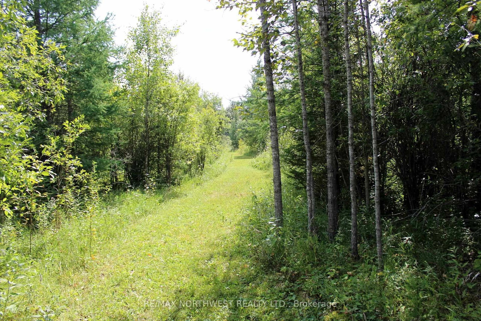PCL 13496 BLUE RD 2 • Dawson, ON photo 23