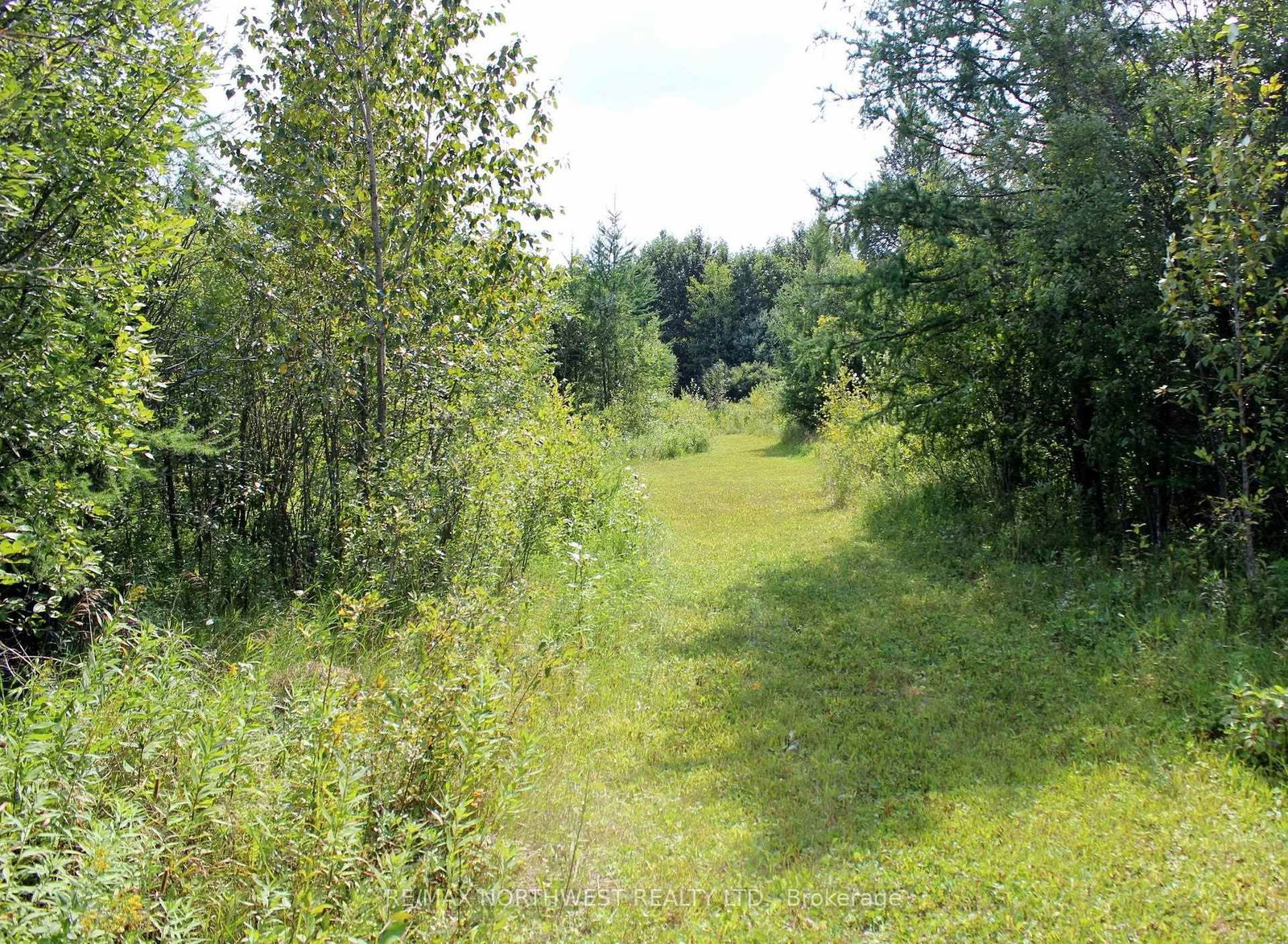 PCL 13496 BLUE RD 2 • Dawson, ON photo 24