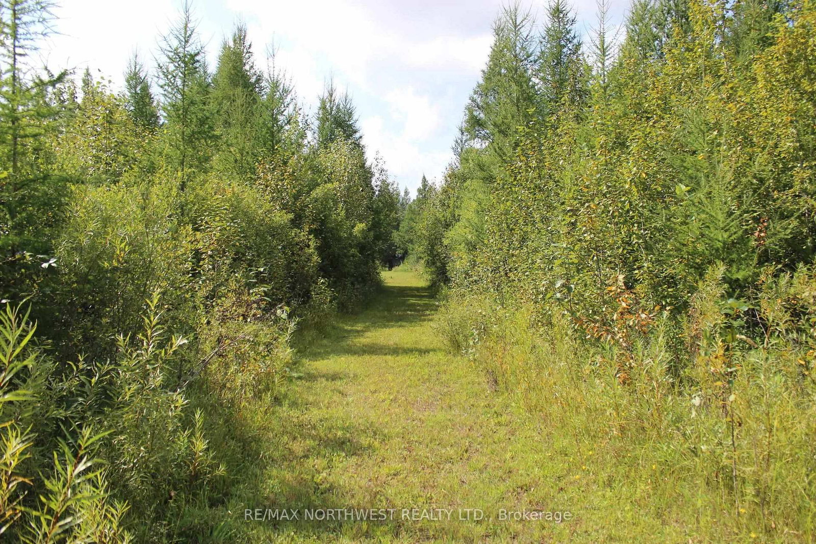 PCL 13496 BLUE RD 2 • Dawson, ON photo 30