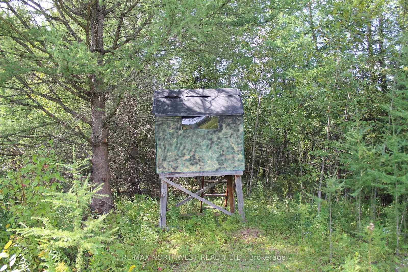 PCL 13496 BLUE RD 2 • Dawson, ON photo 32