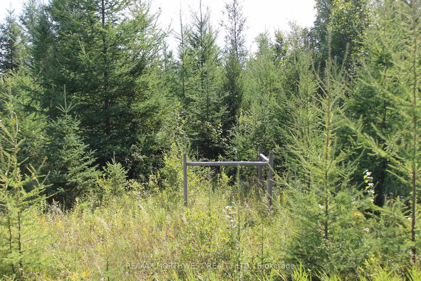 PCL 13496 BLUE RD 2 • Dawson, ON photo 36
