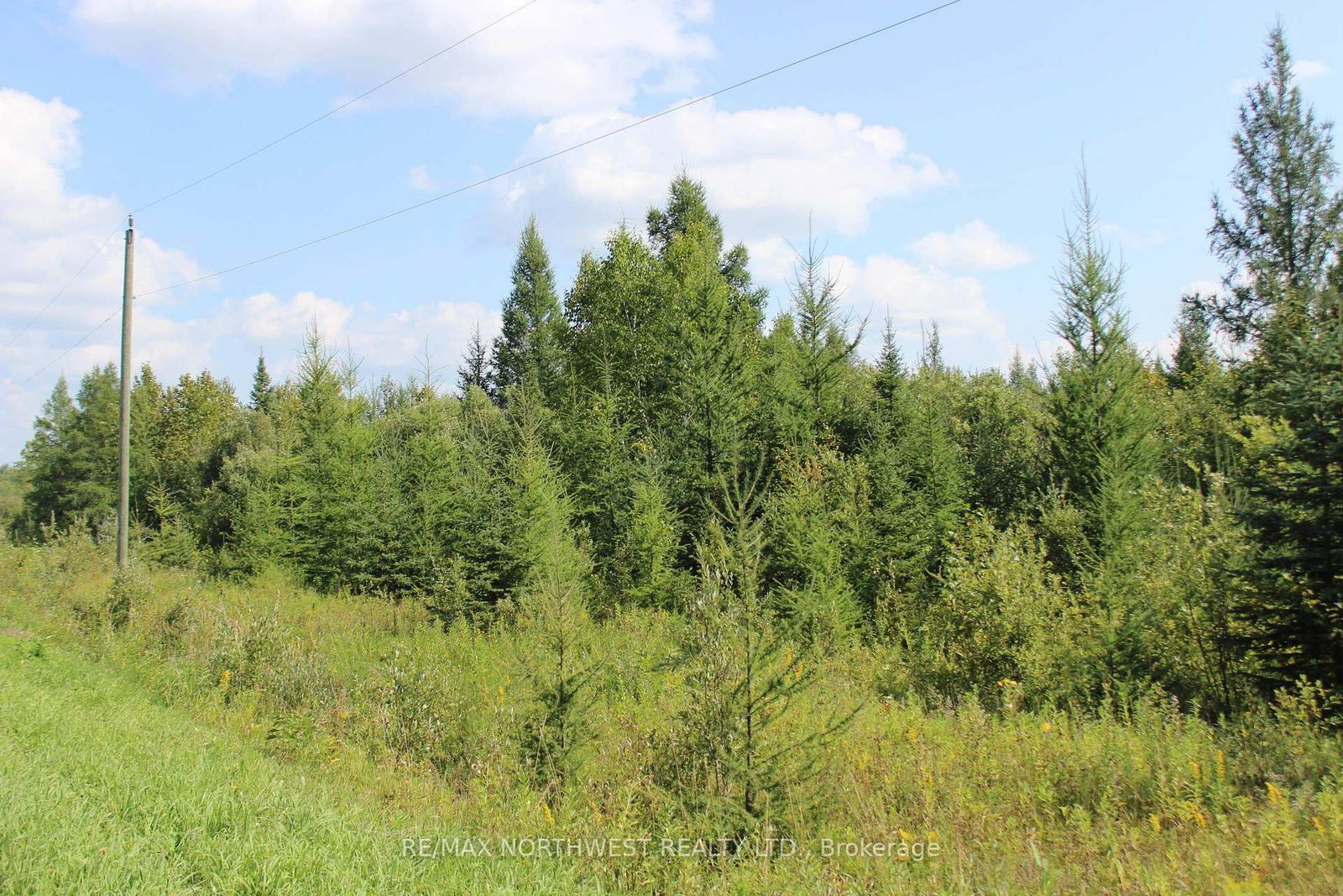 PCL 13496 BLUE RD 2 • Dawson, ON photo 37