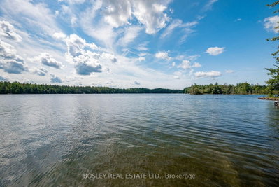 88 Anne Drive • Trent Lakes, ON photo 3