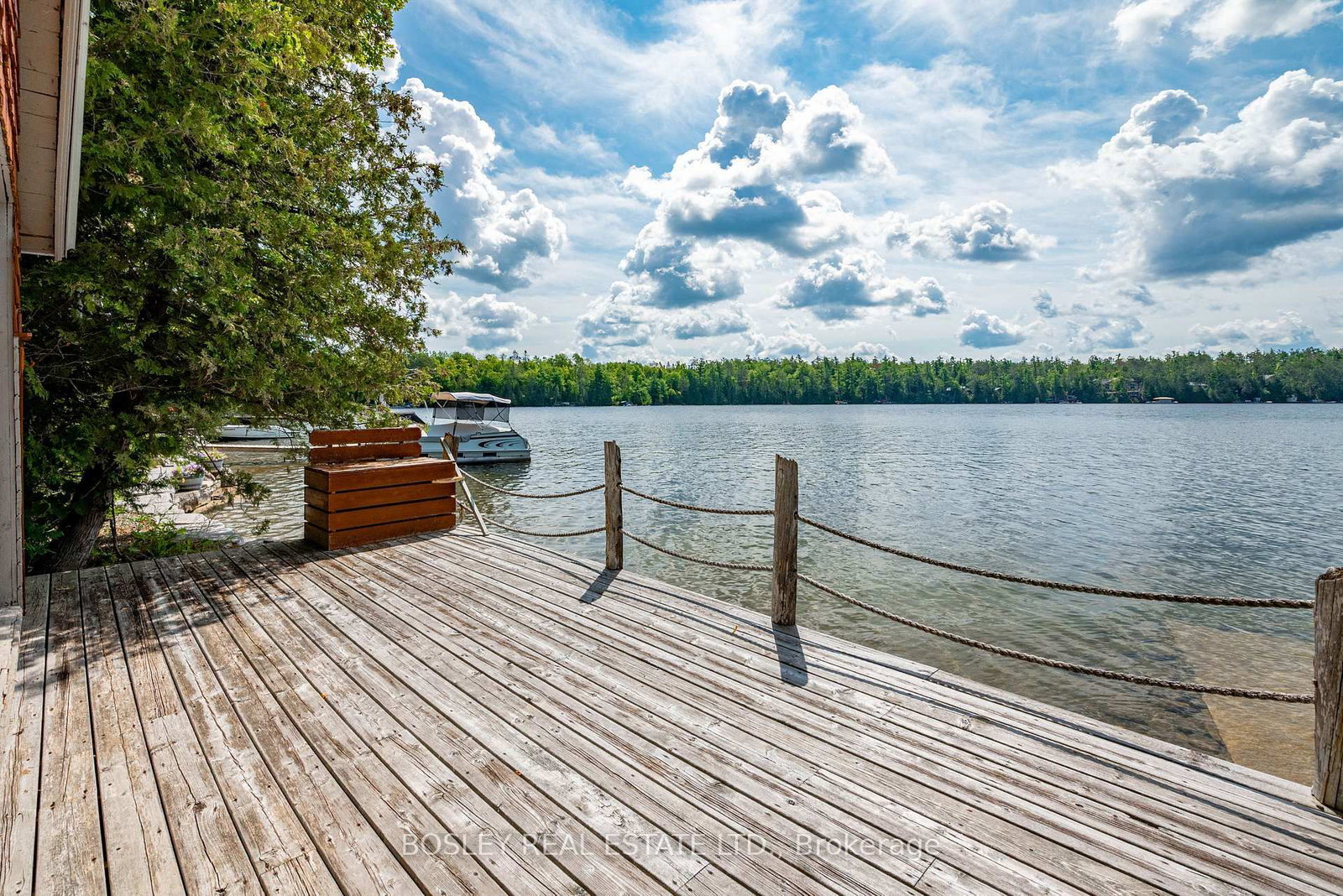88 Anne Drive • Trent Lakes, ON photo 39