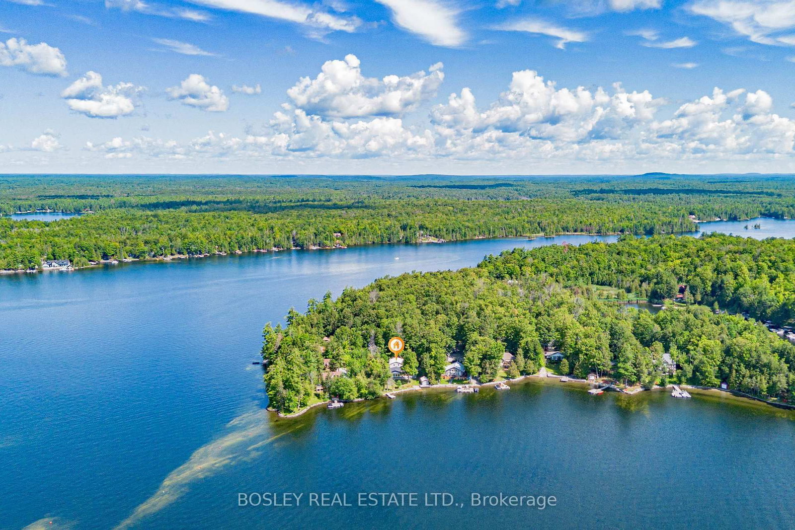 88 Anne Drive • Trent Lakes, ON photo 49
