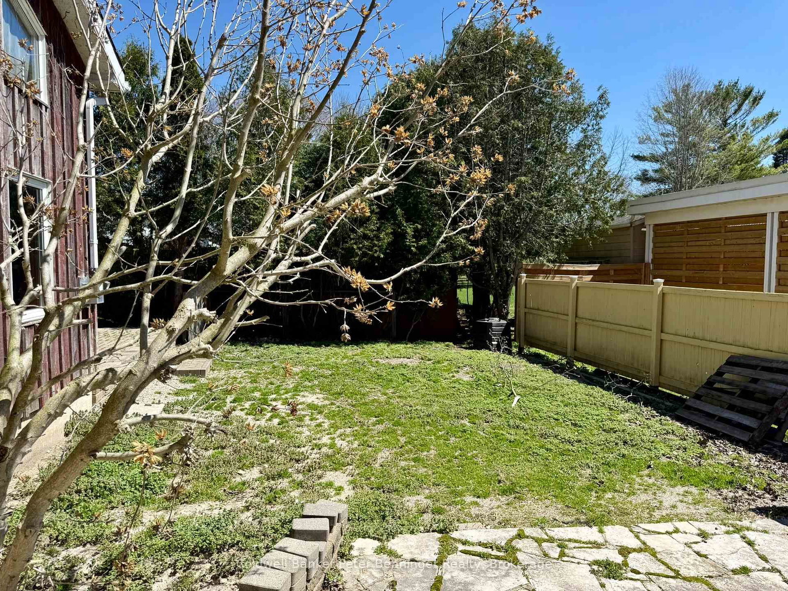 501 Napier Street • Brockton, ON photo 29