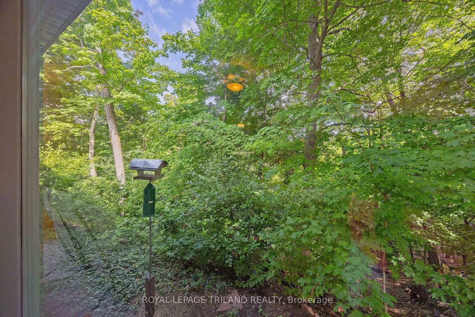 10 Regent Street • St. Thomas, ON photo 14