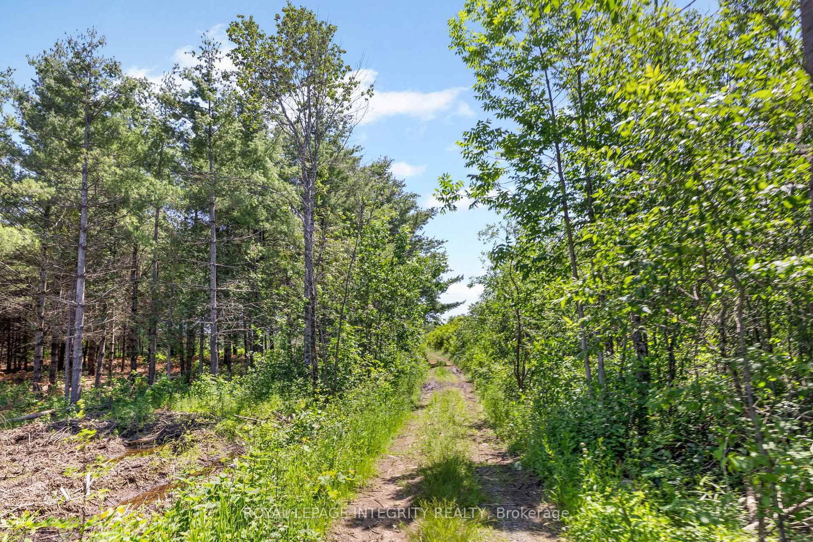4228 O'Neil Road • Ashton, ON photo 43