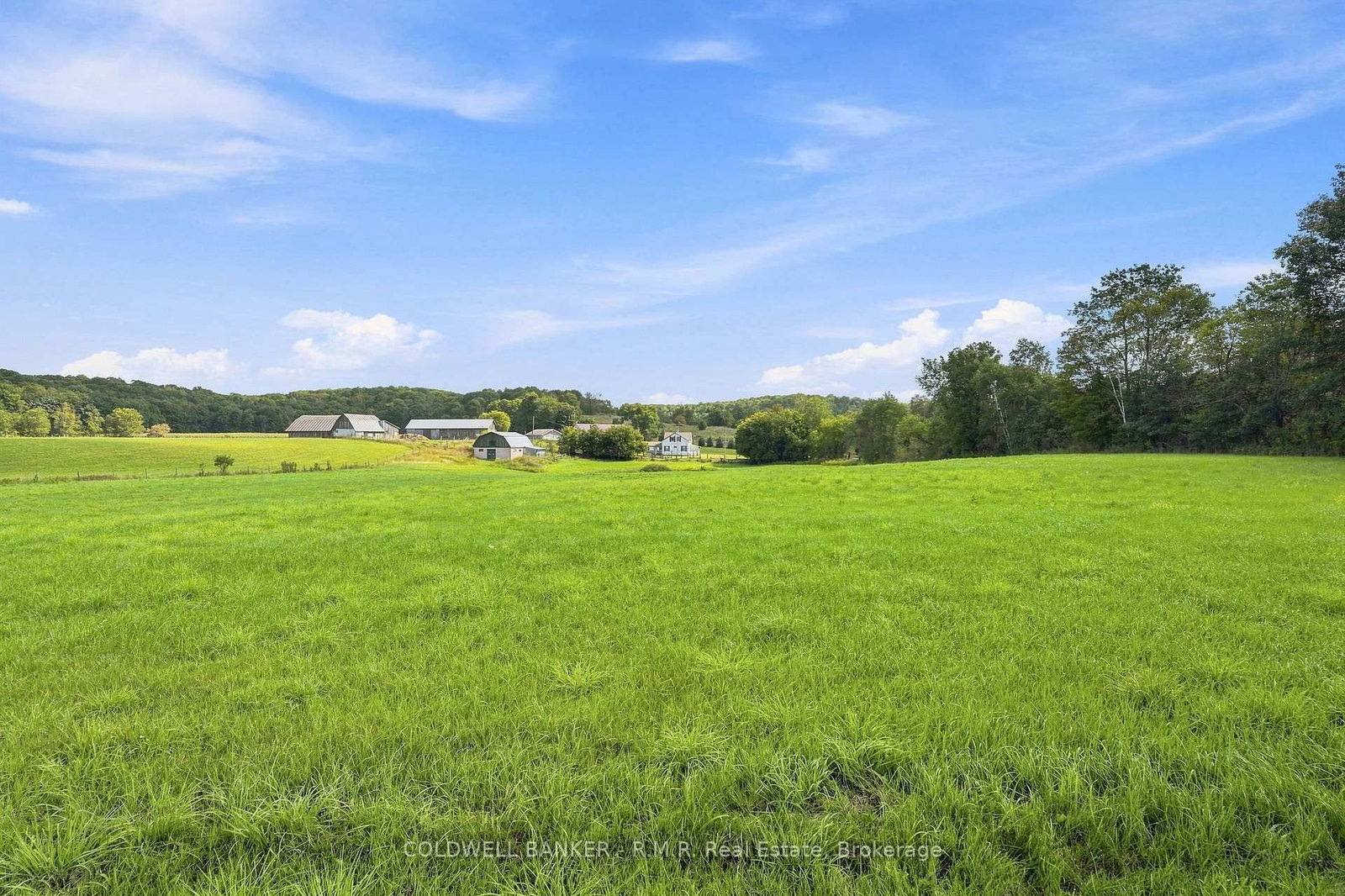 1695 Horseshoe Lake Road • Minden Hills, ON photo 33