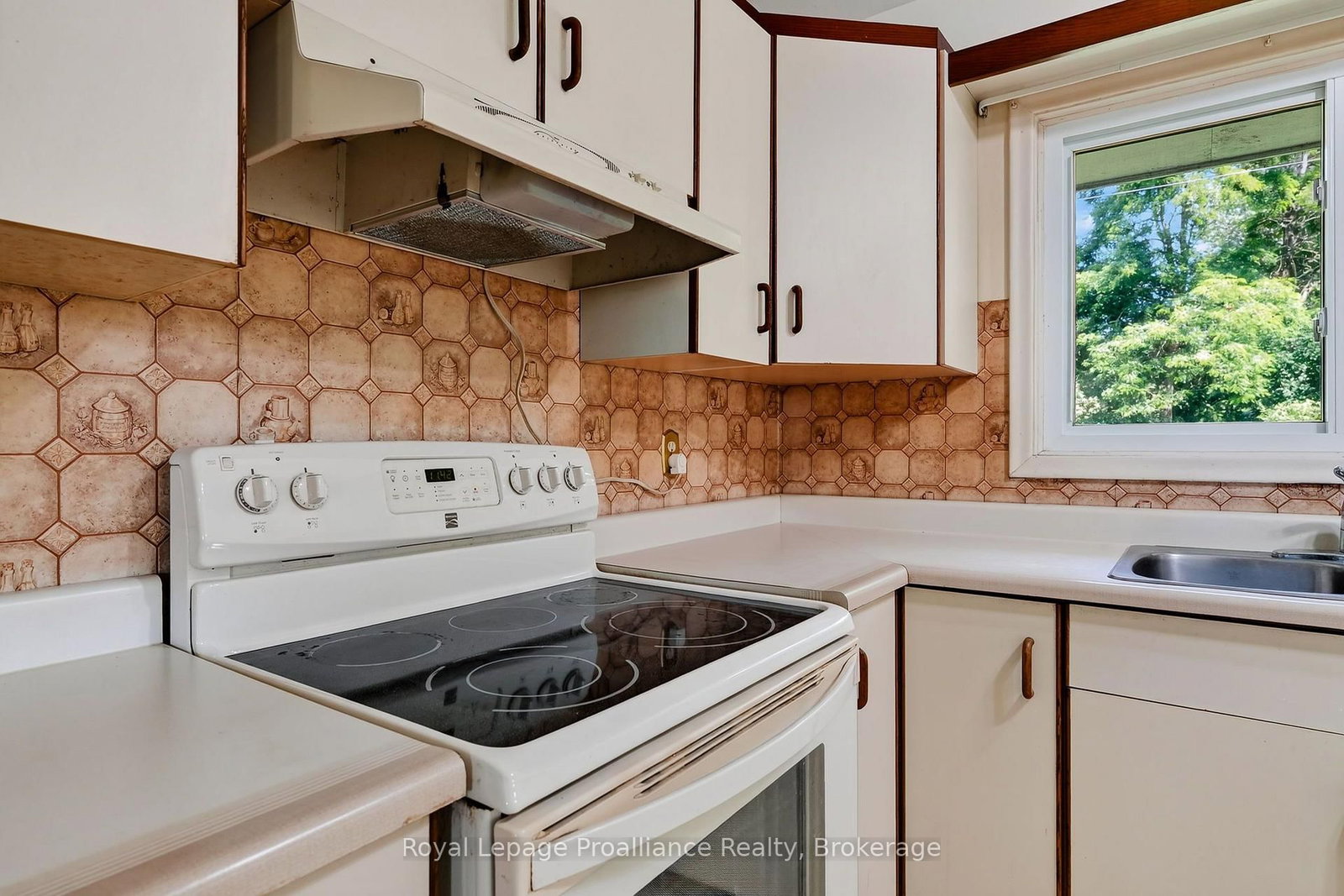 10132 County Rd 2 • Alnwick/Haldimand, ON photo 23