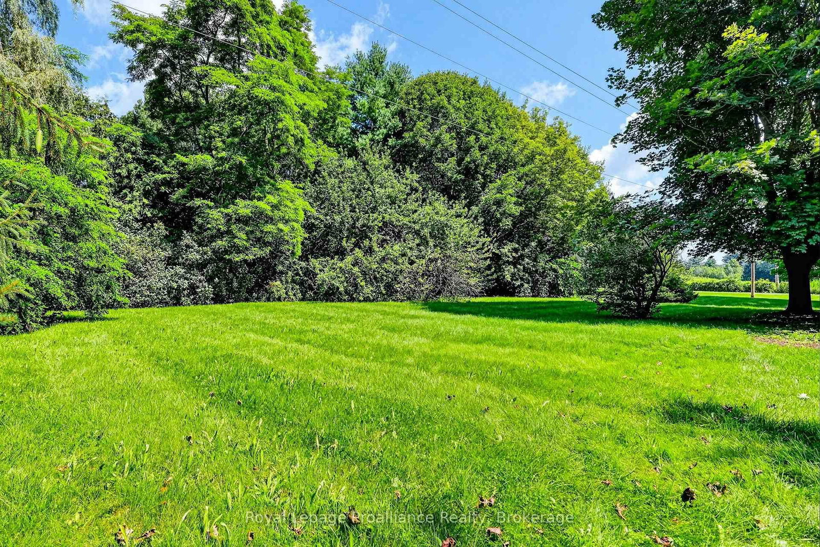 10132 County Rd 2 • Alnwick/Haldimand, ON photo 42