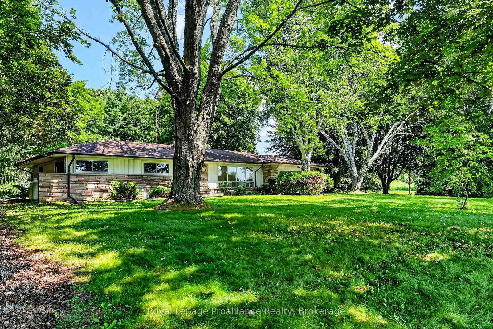 10132 County Rd 2 • Alnwick/Haldimand, ON photo 5