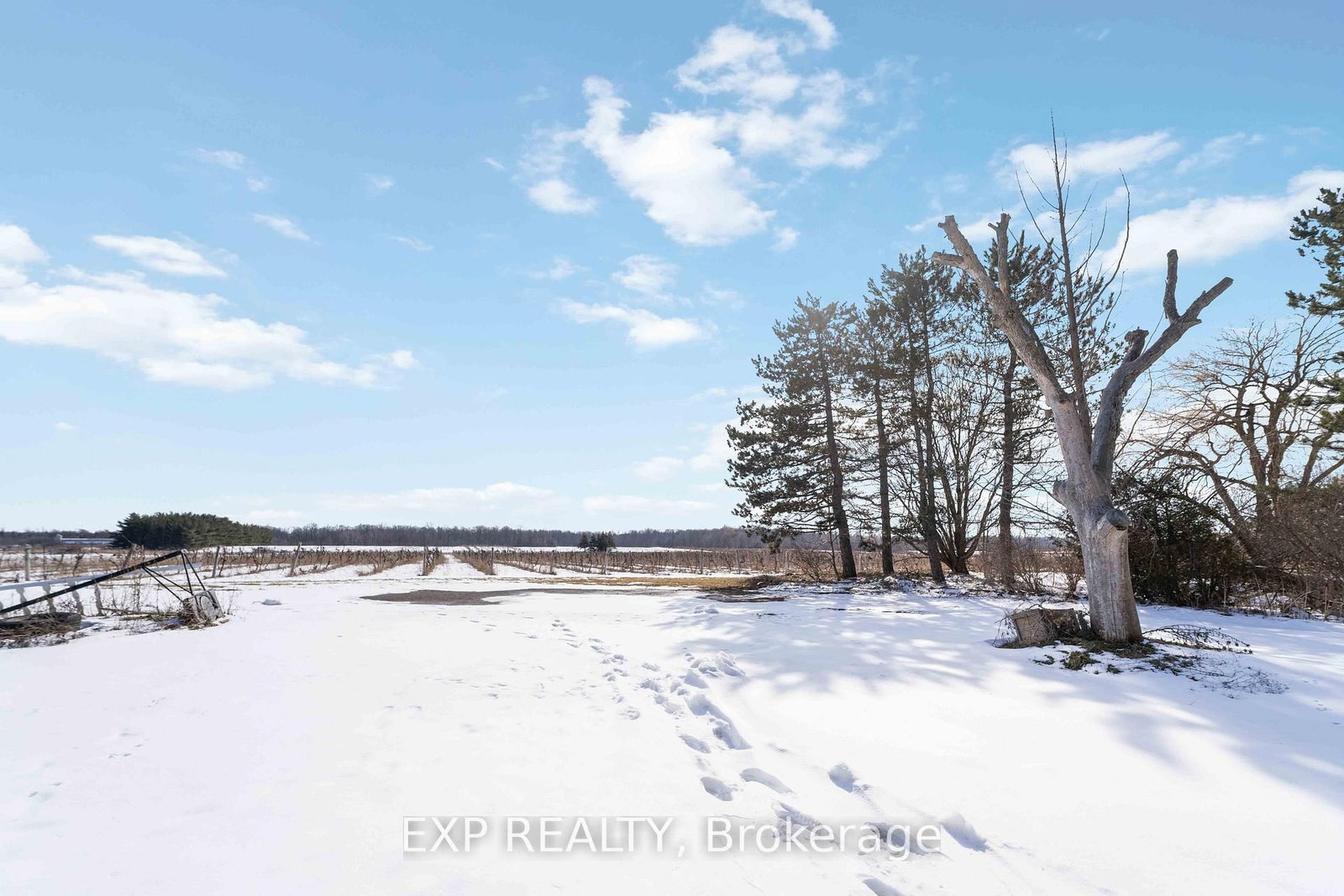 5378 Fly Road • Lincoln, ON photo 41