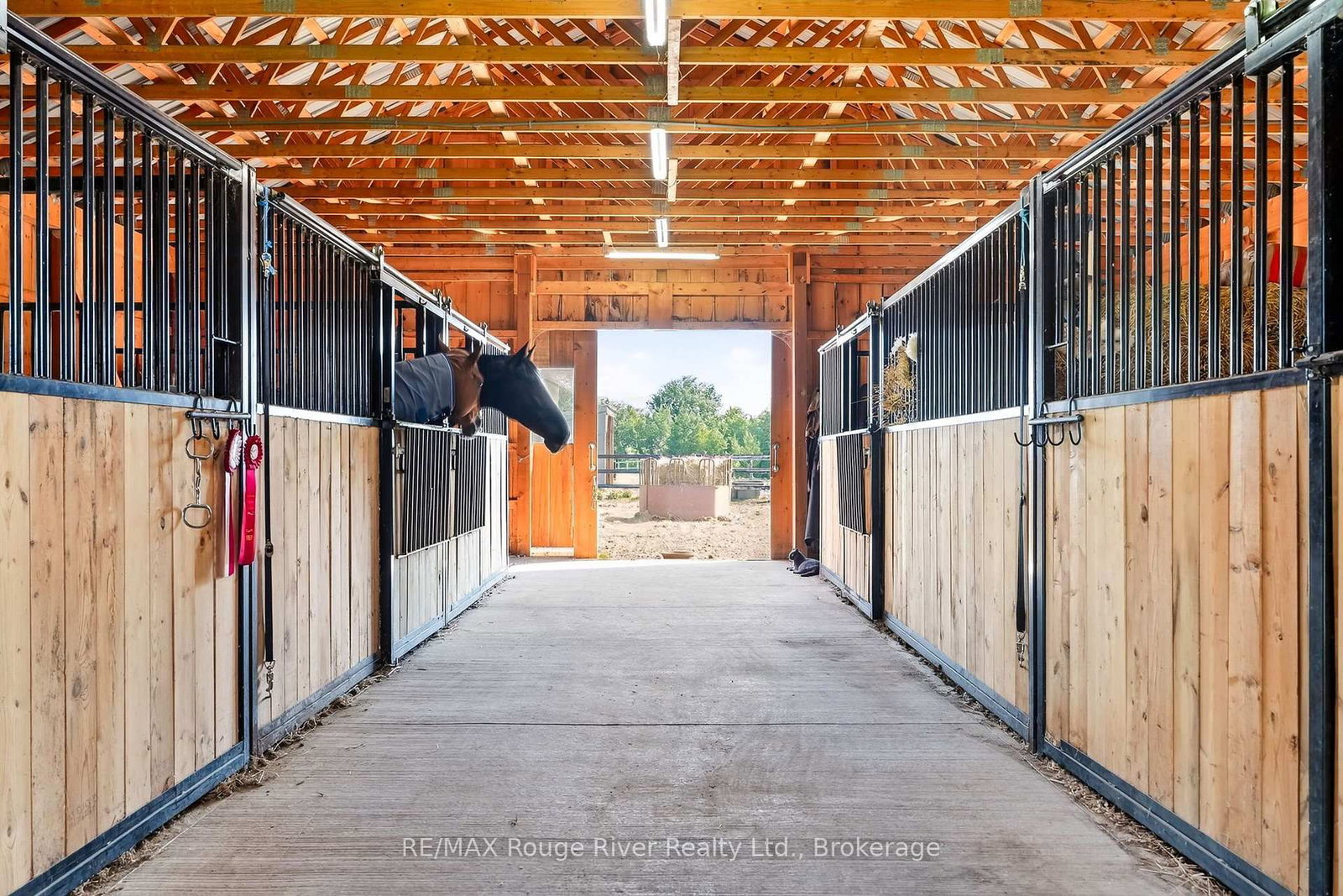 2449 Shelter Valley Road • Alnwick/Haldimand, ON photo 35