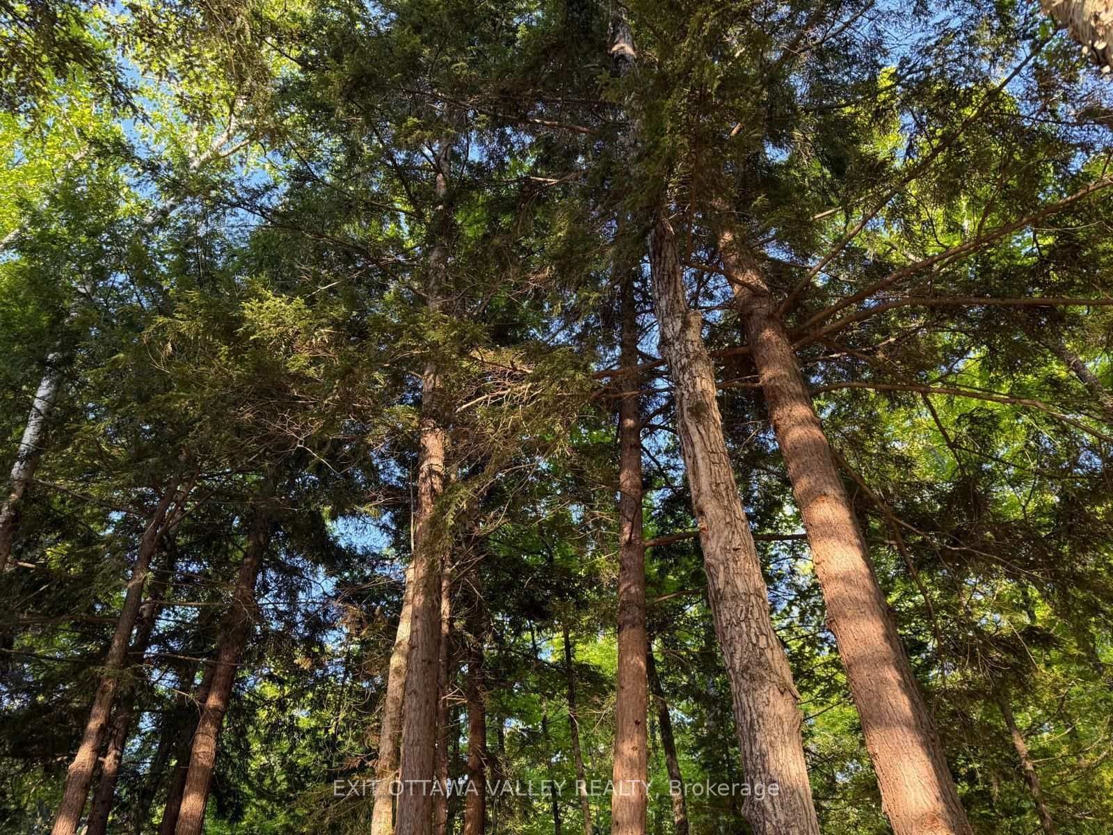 0 Lakeshore Drive • Combermere, ON photo 19