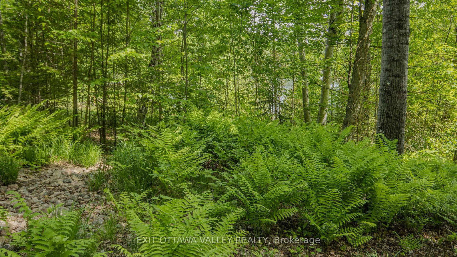 0 Lakeshore Drive • Combermere, ON photo 39