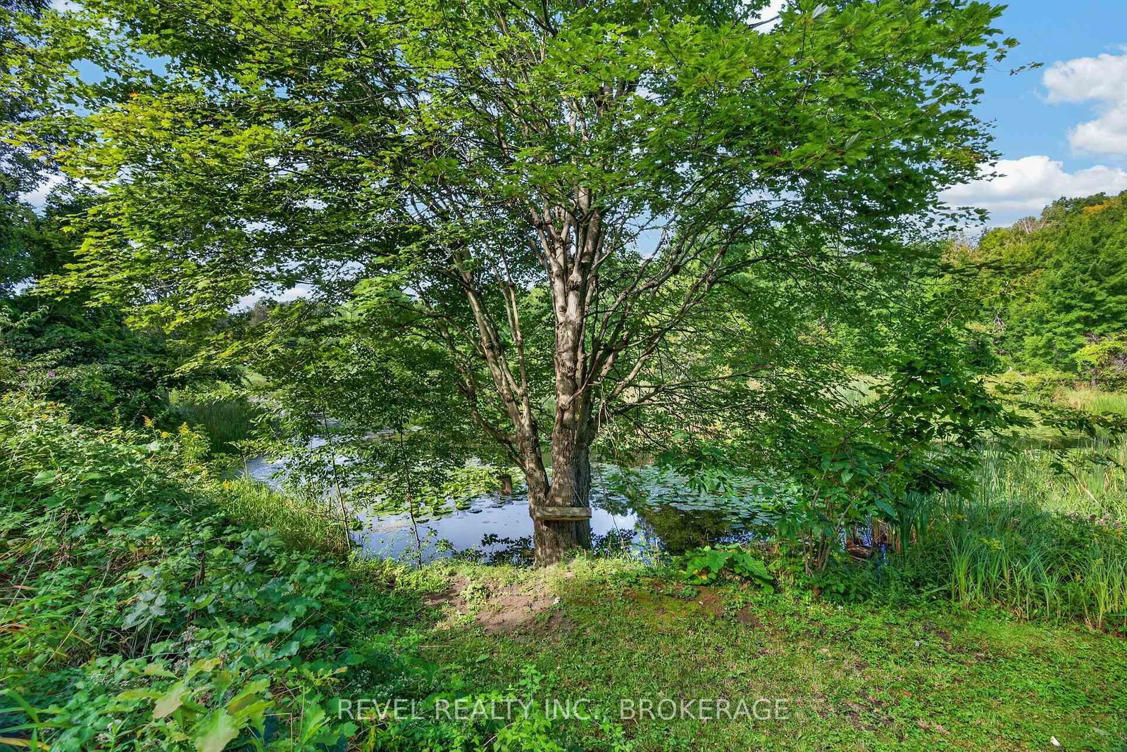 5383 Rideau Road • Seeley's Bay, ON photo 46